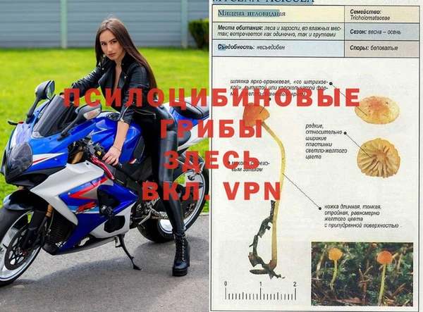 экстази Медвежьегорск