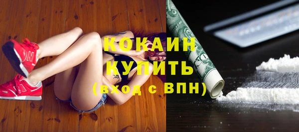 индика Майский