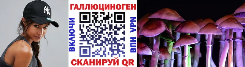 Псилоцибиновые грибы ЛСД  купить  цена  Краснознаменск 
