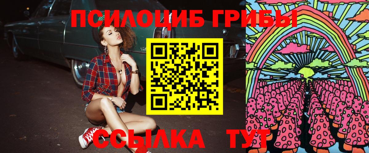 Галлюциногенные грибы Magic Shrooms Краснознаменск