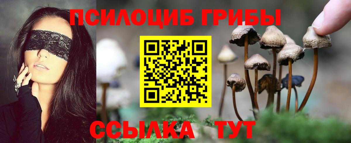 Псилоцибиновые грибы Magic Shrooms Краснознаменск
