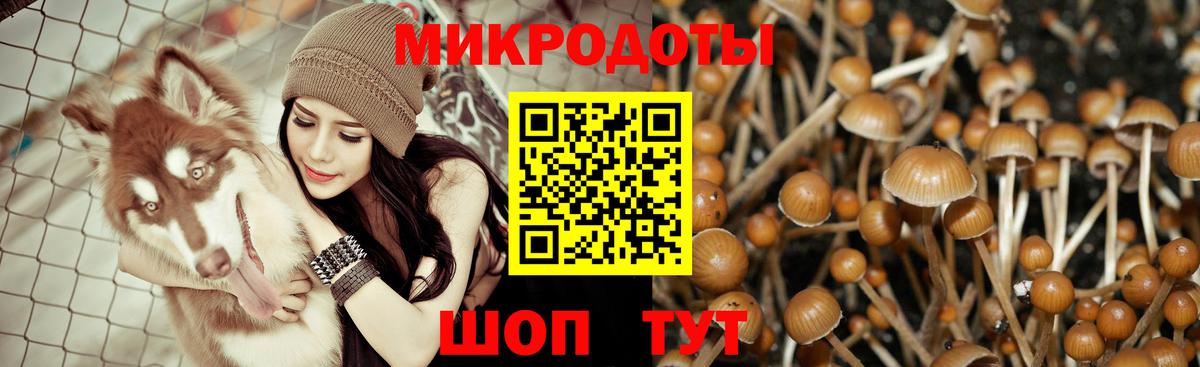 Краснознаменск  Галлюциногенные грибы Cubensis  Вход с VPN 